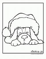 Coloring Christmas Pages Puppy Animal Printables Kids Printable Colouring Cute Animals Print Dog Jr Hat Jewelry Adults Book Noel Color sketch template