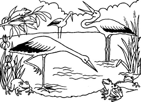 ecosystem coloring page az coloring pages coloring pages animal