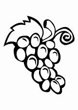 Coloring Pages Grapes Grape Printable Kids Clip Clipart sketch template