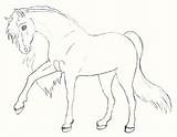 Paarden Kleurplaten Kleurplaat Dieren Equine Coloriages Animaatjes Animes sketch template