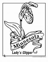 Coloring Pages State Flower Minnesota Nebraska Plate License Print Template Vector Getcolorings Getdrawings Color Motorhome sketch template