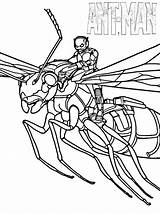 Ant Man Coloring Pages Printable Lego Antman Wasp Avengers Kids Marvel Toddler Realistic Captain America Superhero Ants Choose Board Template sketch template