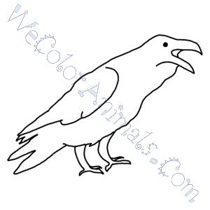 raven coloring pages