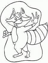 Raccoon Coloring Pages Kids Print Printable Color Raccoons Animal sketch template