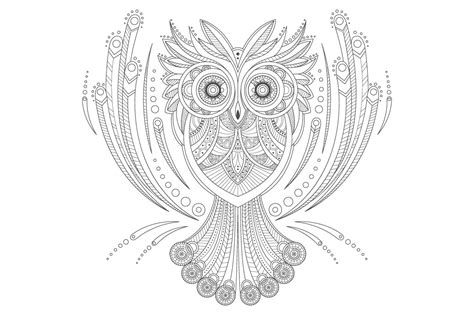 zentangle owl coloring animal illustrations creative market