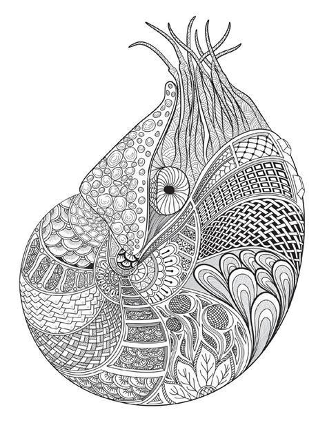 coloring pages  print underwater images  pinterest