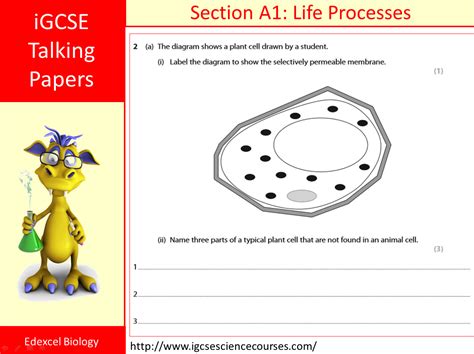 talking papers igcse science courses