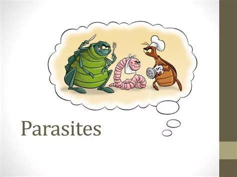 Ppt Parasites Powerpoint Presentation Free Download Id 2300306