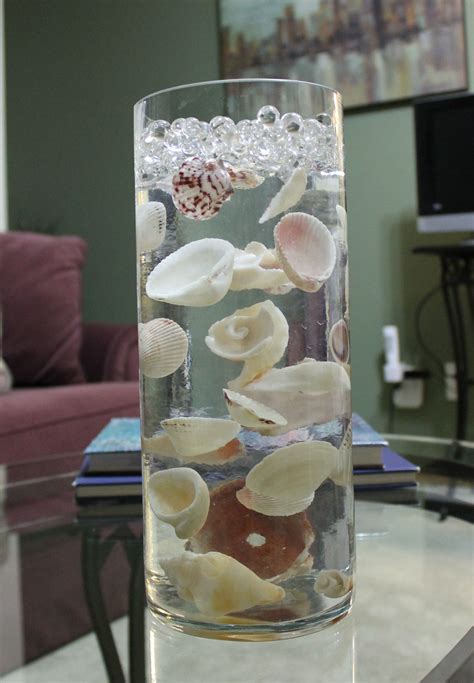 seashells suspended  clear water beads sooper cheep pinterest water beads