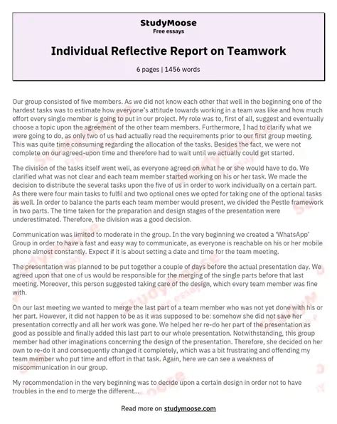individual reflection paper  individual reflective essay