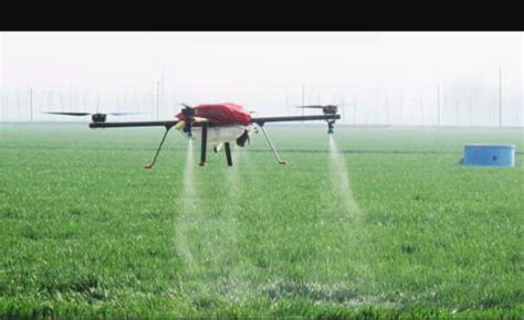 ghanaian farmers enlist drones  combat fall armyworm invasion genetic literacy project