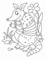 Coloring Armadillo Pages Armadillos Printable Sheets Animal Popular Colouring Choose Board Comments Coloringhome sketch template