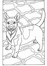 Russel Kleurplaat Malvorlage Kleurplaten Hund Alano Educolor Schulbilder Herunterladen Uitprinten Downloaden sketch template