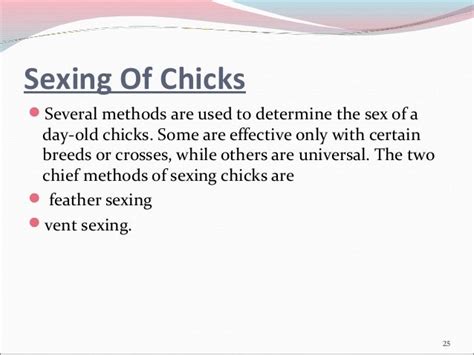 chick grading and sexing