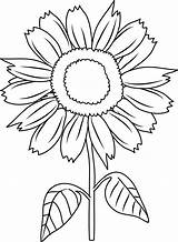 Sunflowers Clipart Color Sunflower Coloring Clip Clipground Line Pretty sketch template