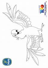 Blu Rio Coloring Pages Pdf sketch template