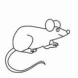 Souris Coloriage Coloriages Animaux Colorier sketch template