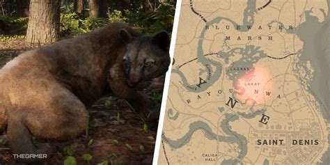 red dead  locations  hunt panther pokemonwecom