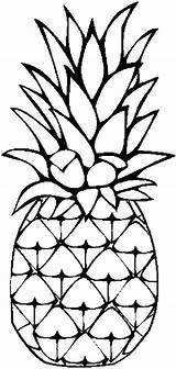 Pineapple Coloring Clipart Drawing Pages Outline Printable Clip Colouring Sheets Pineapples Pine Sweet Caribbean Cartoon Color Cliparts Print Draw Fruit sketch template