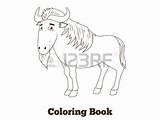 Wildebeest Coloring Blue Designlooter Savannah African Animal Illustration Children Cartoon Vector Book 48kb 338px sketch template