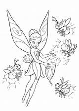 Campanilla Imprimir Tinkerbell Tinker Fairies sketch template
