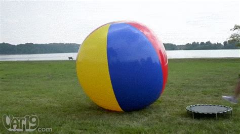 ball find and share on giphy