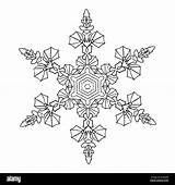 Mandala Snowflake Zentangle Drawn Doodles Natural Hand Style Alamy Shopping Cart sketch template