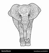 Coloring Elephant Book Adults Vector Royalty sketch template