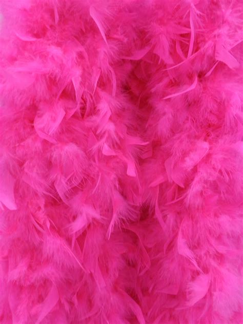 images bird wing texture petal fur fluffy color pink