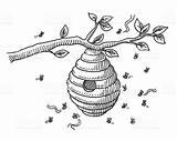 Bee Hive Drawing Beehive Bees Drawn Getdrawings sketch template
