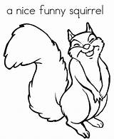 Squirrel Pages Sammy sketch template