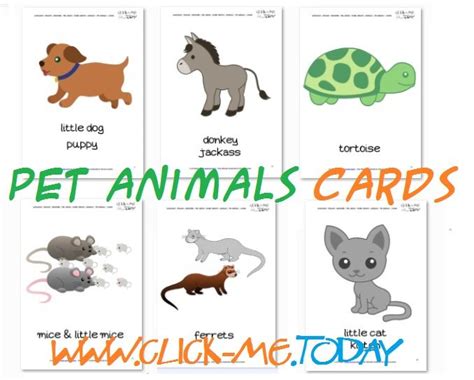 printable pet animals flashcards pet animals cards animal