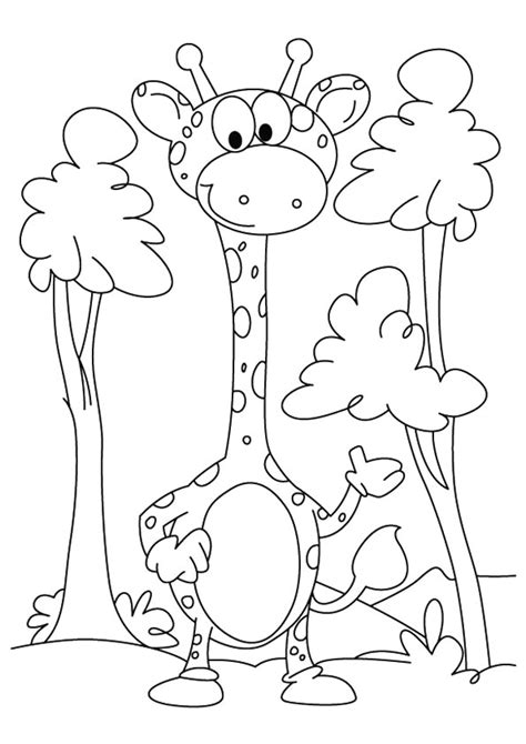 giraffe eating coloring page  printable coloring pages  kids