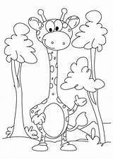 Giraffe Girafa Printable Animais Colorironline sketch template