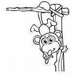 Coloring Monkey Hanging Pages Tree Cute Baby Drawing Kids Monkeys Banana Eating Color Tail Getcolorings Print Drawings Getdrawings Paintingvalley Kaynak sketch template