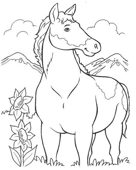 pin  wanda twellman  coloring horses coloring pages coloring