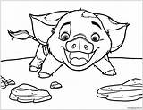 Moana Coloring Pig Pua Pages Face Drawing Disney Color Printable Online Colouring Easy Rocks Cartoon Print Coloringpagesonly Animal Kids Getdrawings sketch template