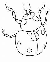 Ladybug Coloring Pages Printable Template Color Print Girl Bug Clipart Kids Cycle Life Lb2 Drawing Grouchy Getdrawings Getcolorings Animals Bestcoloringpagesforkids sketch template