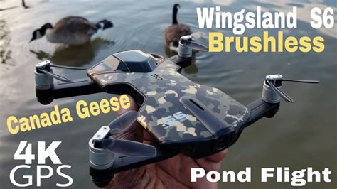 wingsland  brushless  gps drone flying  canada geese youtube