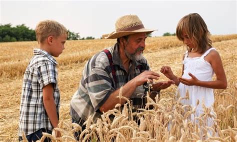 key recommendations  family farming  north america food tank