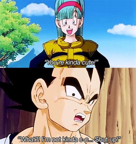 270 Best Images About All That Saiyan Pride On Pinterest