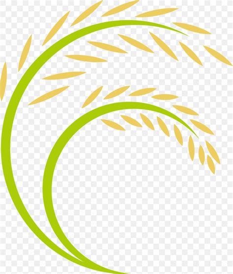 rice logo png xpx rice android area caryopsis ear