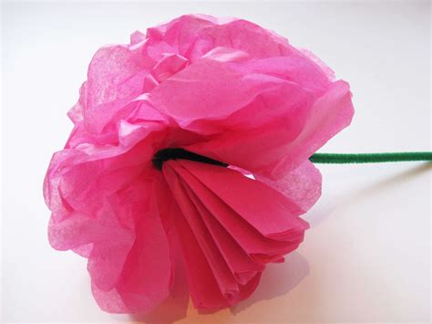 simple steps  craft tissue paper flowers
