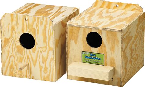 birds parakeet nest box  ware reverse check   httpsterrashopiacomproductbirds