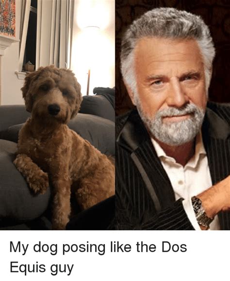 25 Best Memes About Dos Equis Guy Dos Equis Guy Memes