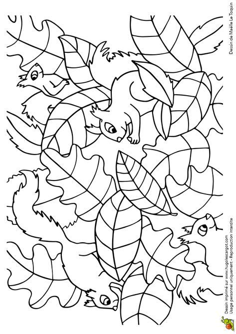 coloring pages  kids years   images  pinterest