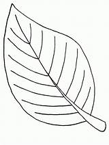 Leaf Coloring Entitlementtrap Printable Leaves Inspiration Pages sketch template