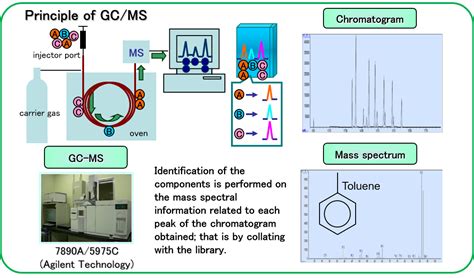 analysis   principle  gas chromatography mass spectrometergc ms