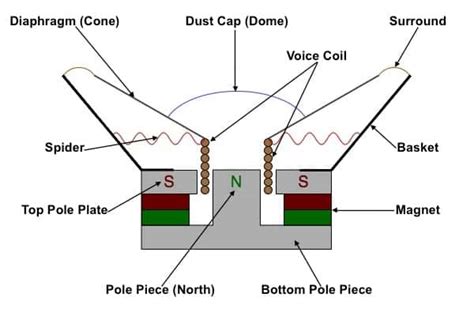 choose   speakers   amplifier circuit basics