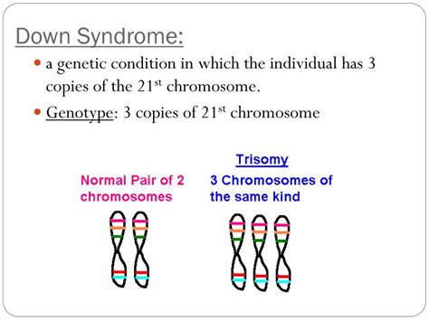ppt genetic disorders and sex linked traits powerpoint presentation id 2122284